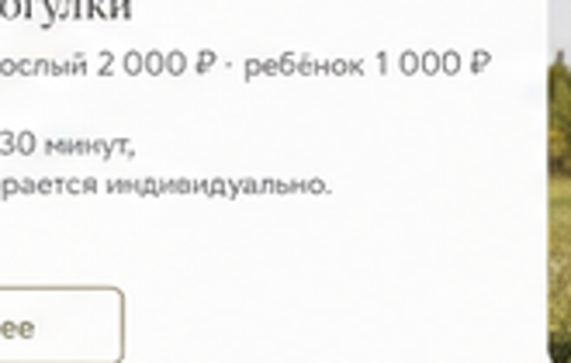Две лошади на территории